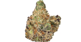 FloraCal - Astro Pop - 3.5g