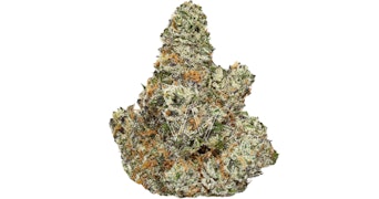 CAM - Kush Mints Private Reserve - 3.5g