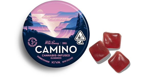 CAMINO - Camino - Wild Berry Gummies - 100mg