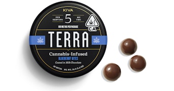 Terra - Milk Chocolate Blueberries - 100mg