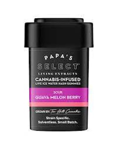 Papa And Barkley - Papa and Barkley - Edibles - THC - Guava Melon Berry - 10ct
