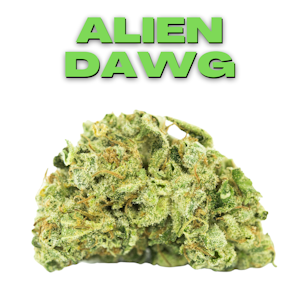 Good Tree - GT Alien Dawg 8th
