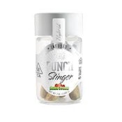 [Punch] Infused Preroll 5 Pack - 2.5g - Dulce Fresa (H)