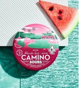 [Camino] Gummies - 100mg - Sour Watermelon Spritz (S) 
