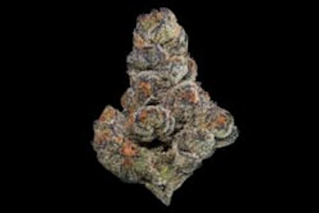 Maven - [Maven] Flower - 3.5g - Ube Creme (I)