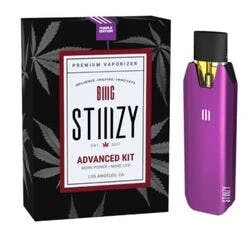 STIIIZY - [STIIIZY] Battery - BIIIG Purple Main Image