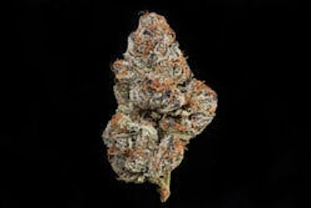 Maven - [Maven] Flower - 3.5g - Cherry Gas (I)