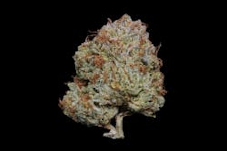 Mary's Medicinals - [YULA] Flower - 3.5g - Blueberry Durban (S)