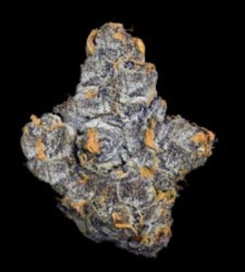 Maven - [Maven] Flower - 14g - Blue Lotus (I)