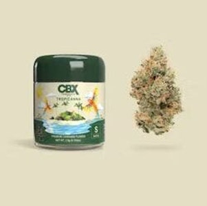 CANNABIOTIX - [Cannabiotix] Flower - 3.5g - Tropicanna (S)