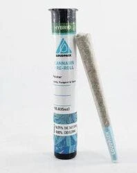 Loudpack - [Loudpack] Preroll - 1g - Cookies Kush (I) Main Image