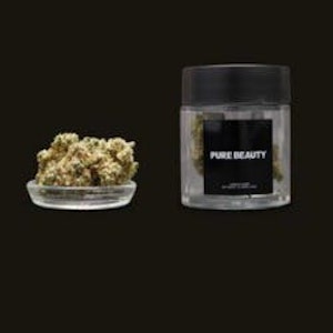 PURE BEAUTY -  [Pure Beauty] Indoor Flower - 3.5g - Crescendo (S)