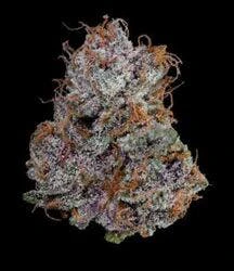 Marijuana Maven - [Maven] Indoor Flower - 4.2g - Umami Butter (I) Main Image