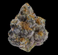 Marijuana Maven - [Maven] Flower - 3.5g - Golden Hour (H) Main Image