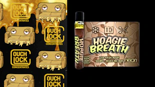 Couchlock - Hoagie Breath 500mg AIO Vape