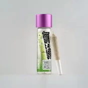 Chernobyl - Big Bang Mini 0.5g Infused Preroll