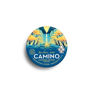 CAMINO - Camino: Yuzu Lemon 1:1 CBD 100mg Gummies