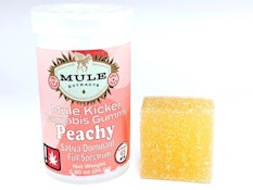Peachy Gummy
