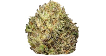 CIZI - Black Mamba - 7g