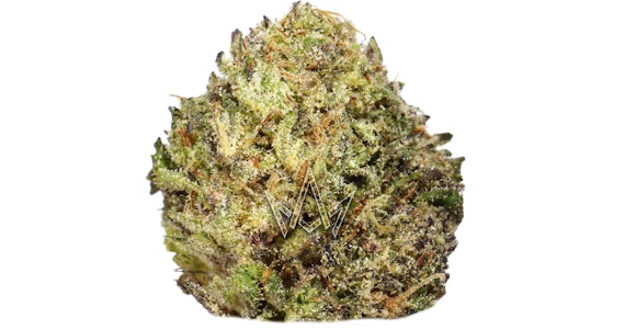 CIZI - CIZI - Black Mamba - 7g