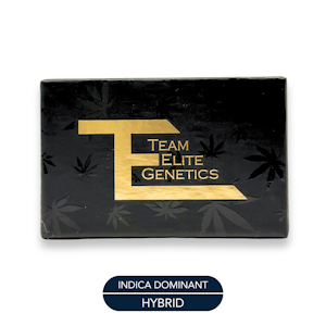 TEAM ELITE GENETICS - Team Elite Genetics - Live Rosin - Banana Taffy - Concentrates - 1.0g