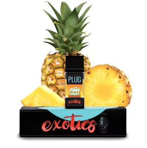 PLUGPLAY™ - PINA COOLER 1G - PLUGPLAY