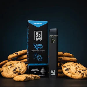 BLVK - COOKS AHOY DISPOSABLE 1G - BLVK