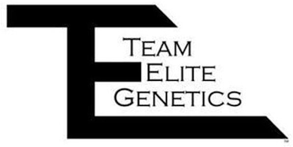 TEAM ELITE GENETICS - HASH HOLE - STYROFOAM CUP 2G - TEAM ELITE GENETICS