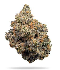 CAM - APPLE SLAPS 3.5G - CAM