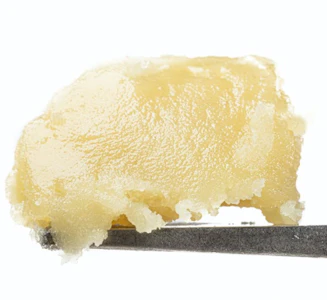 ROVE - ROSIN - FATSO 1G - ROVE