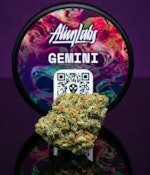 GEMINI 3.5G - ALIEN LABS