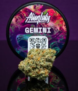 ALIEN LABS - GEMINI 3.5G - ALIEN LABS