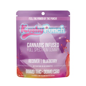 KUSHY PUNCH - RECOVER GUMMY - KUSHY PUNCH