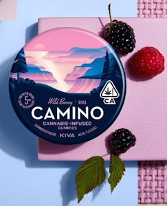 Kiva Confections - CAMINO - WILD BERRY 100MG - KIVA CONFECTIONS