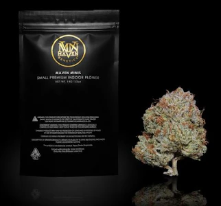 MAVEN GENETICS - BLUEBERRY SKITTLES 14G - MAVEN GENETICS