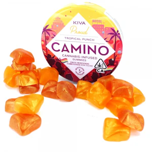 Kiva Confections - CAMINO - PRIDE PASSIONFRUIT PUNCH 100MG - KIVA CONFECTIONS
