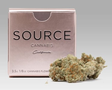 SOURCE CANNABIS - QUEST 3.5G - SOURCE CANNABIS