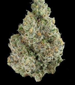 MAVEN GENETICS - SOUR SANGRIA 3.5G - MAVEN GENETICS