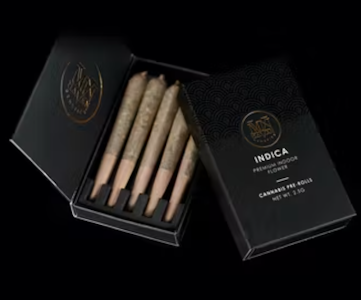 MAVEN GENETICS - 5 PACK - BLACK DIAMOND X .5G - MAVEN GENETICS