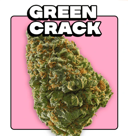 Lucid - GREEN CRACK 3.5G - LUCID Main Image