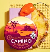 CAMINO - PINEAPPLE HABANERO 100MG - KIVA CONFECTIONS