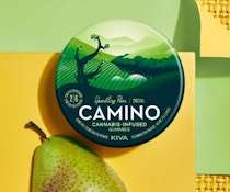 CAMINO - 1:3 CBD SPARKLING PEAR - KIVA CONFECTIONS