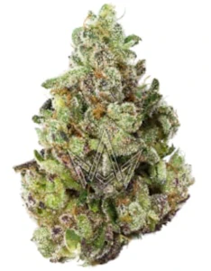 710 LABS - PERSY - MOONBOW 112 #1 3.5G - 710 LABS