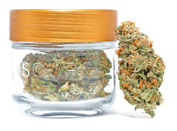 Source Cannabis - BABY CAKES #2 3.5G - SOURCE CANNABIS Main Image