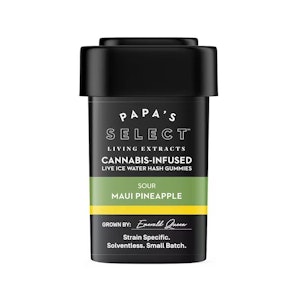 PAPA & BARKLEY - MAUI PINEAPPLE ICE WATER HASH GUMMIES 100MG - PAPA'S SELECT