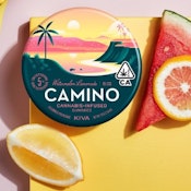 CAMINO - WATERMELON LEMONADE 100MG - KIVA CONFECTIONS