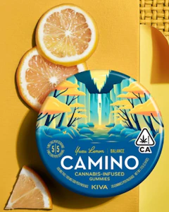 Kiva Confections - CAMINO - 1:1 CBD YUZU LEMON 100MG - KIVA CONFECTIONS