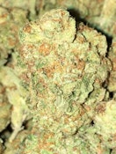 PRIVATE RESERVE - BUBBAS GIRL 7G - CAM