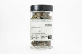 GELATO 41 14G - THE OUTLITT