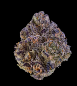 BLUE AGAPE 3.5G - MAVEN GENETICS